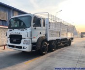 Hyundai hd320 19 tan 4 chan